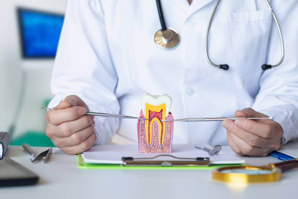 Best Pediatric Emergency Dentist in Mcarthur, OH